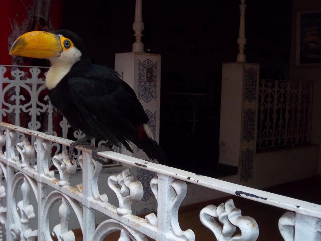 Pousada Do Mendonca Juiz de Fora Luaran gambar