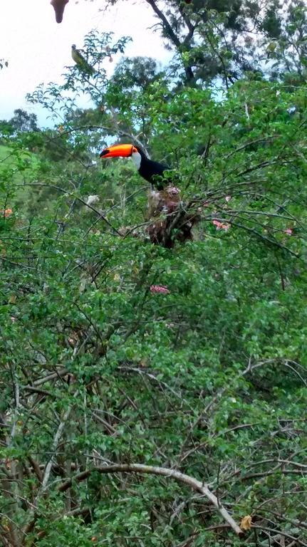 Pousada Do Mendonca Juiz de Fora Luaran gambar